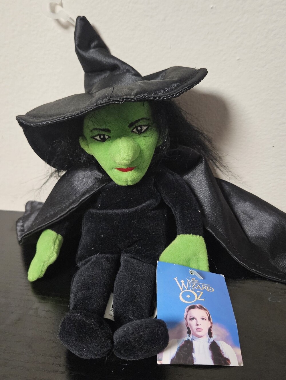 Warner Bros. Wicked Witch Plush Costume - Black & Green